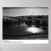 Pond Near Red Bluff van Ansel Adams Poster (Voorkant)