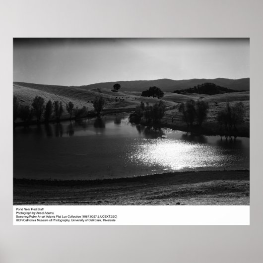 Pond Near Red Bluff van Ansel Adams Poster (Voorkant)
