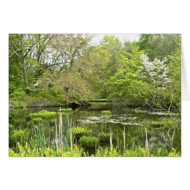 Pond Notecard (Voorkant Horizontaal)