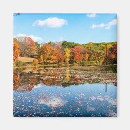 Pond omringd door kleurrijke, misleidende bomen magneet