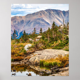 Pond op de bergen // Rocks en Bomen Poster
