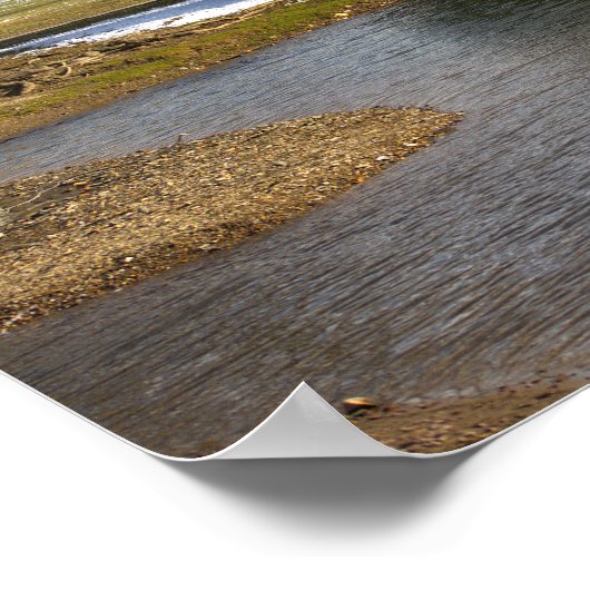 Pond Photo Poster (Hoek)