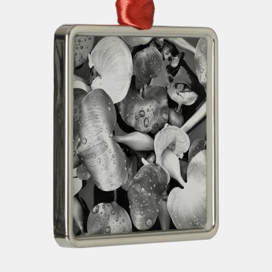 Pond Plant en zwart-wit Metalen Ornament (Rechts)