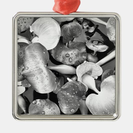 Pond Plant en zwart-wit Metalen Ornament (Voorkant)