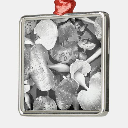 Pond Plant en zwart-wit Metalen Ornament (Links)