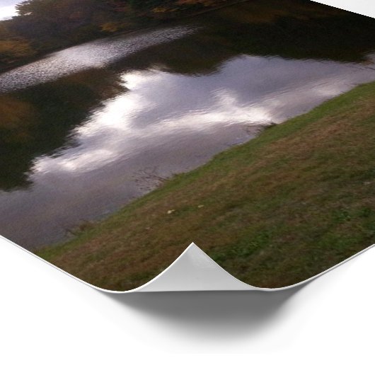 Pond Poster (Hoek)