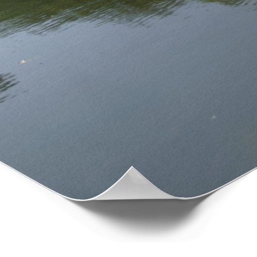 Pond Poster (Hoek)
