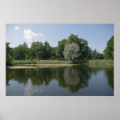 Pond Poster (Voorkant)