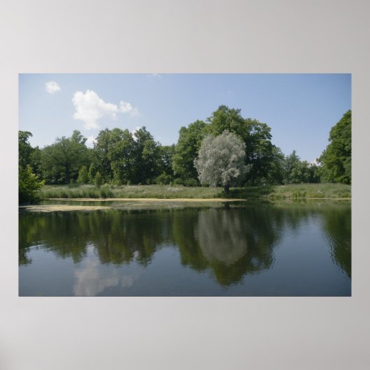 Pond Poster (Voorkant)