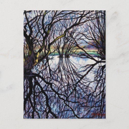 Pond Reflecties 2009 Briefkaart (Voorkant)