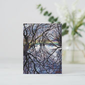 Pond Reflecties 2009 Briefkaart (Staand voorkant)