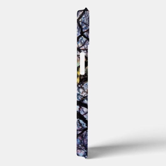 Pond Reflecties 2009 Case-Mate iPhone Case (Achterkant / Rechts)