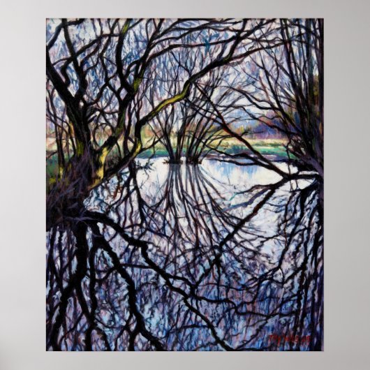 Pond Reflecties 2009 Poster (Voorkant)