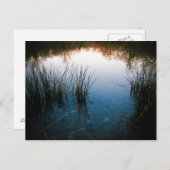 Pond Reflecties Briefkaart (Voorkant / Achterkant)