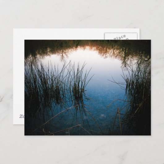 Pond Reflecties Briefkaart (Voorkant / Achterkant)