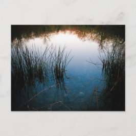 Pond Reflecties Briefkaart