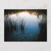 Pond Reflecties Briefkaart (Voorkant)