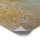 Pond Reflecties Poster (Hoek)