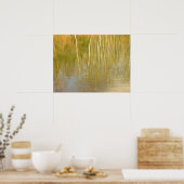 Pond Reflecties Poster (Keuken)
