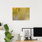 Pond Reflecties Poster (Thuiskantoor)