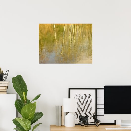 Pond Reflecties Poster (Thuiskantoor)