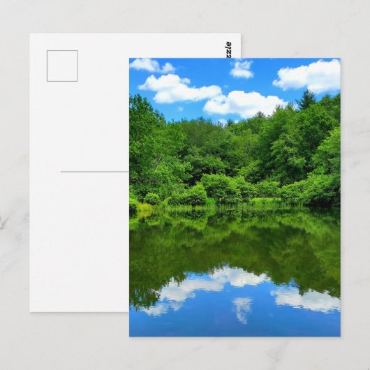 Pond Reflection Briefkaart (Voorkant / Achterkant)