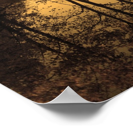 Pond Reflection Poster (Hoek)