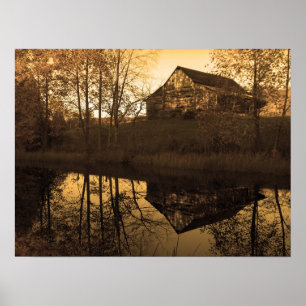 Pond Reflection Poster