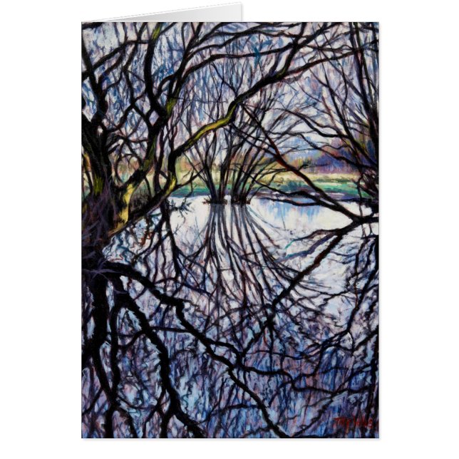 Pond Reflections 2009 (Voorkant)