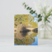 Pond Reflections Wild Cattails Autumn Briefkaart (Staand voorkant)