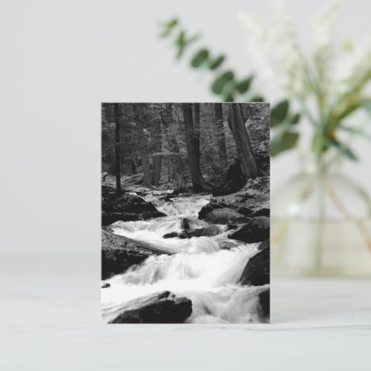 Pond Run Creek Briefkaart (Staand voorkant)