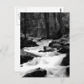 Pond Run Creek Briefkaart (Voorkant / Achterkant)