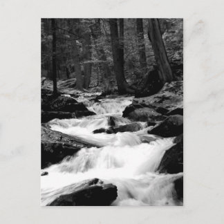 Pond Run Creek Briefkaart