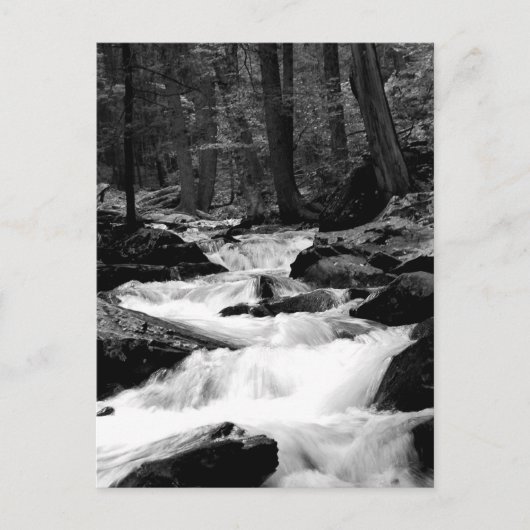 Pond Run Creek Briefkaart (Voorkant)