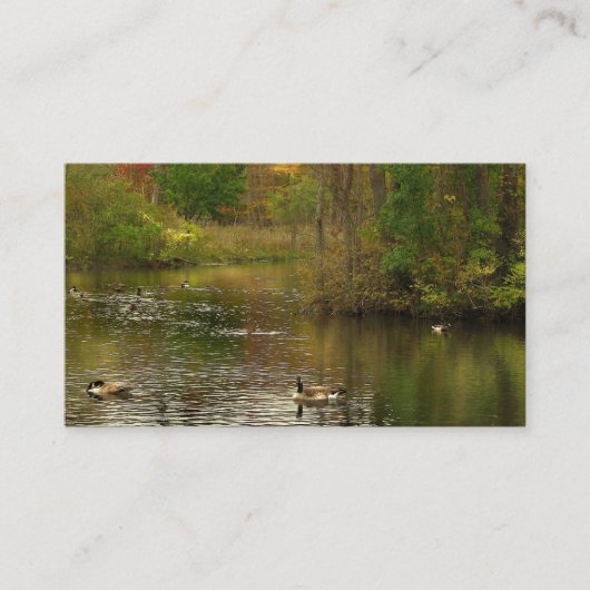 Pond Services Visitekaartje (Voorkant)