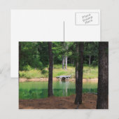 Pond Side Dock Briefkaart (Voorkant / Achterkant)