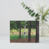 Pond Side Dock Briefkaart (Staand voorkant)