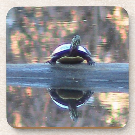 Pond Turtle Reflection Onderzetter (Voorkant)