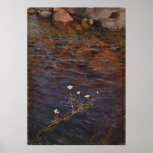 Pond Water Crowfoot (1895) Eero Järnefelt Poster