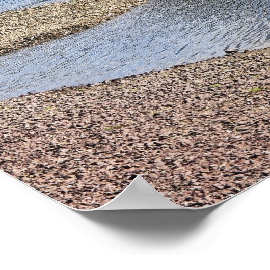 Pond Waterscape Poster (Hoek)