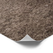 Pond Waterscape Sunset Photo Poster (Hoek)