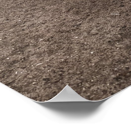 Pond Waterscape Sunset Photo Poster (Hoek)