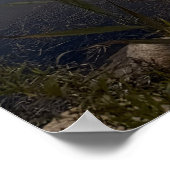 Pond Waterscape Sunset Photo Poster (Hoek)