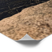 Pond Waterscape Sunset Photo Poster (Hoek)