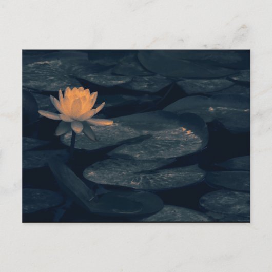 "Pondering At the Pond" - Briefkaart (Voorkant)