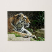 Pondering Tiger Puzzle Legpuzzel (Horizontaal)