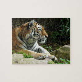 Pondering Tiger Puzzle Legpuzzel