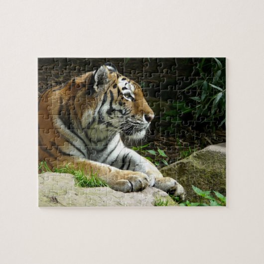 Pondering Tiger Puzzle Legpuzzel (Horizontaal)