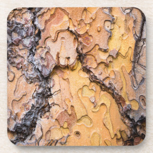 Ponderosa pijnboomschors, Washington Bier Onderzetter