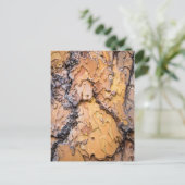 Ponderosa pijnboomschors, Washington Briefkaart (Staand voorkant)